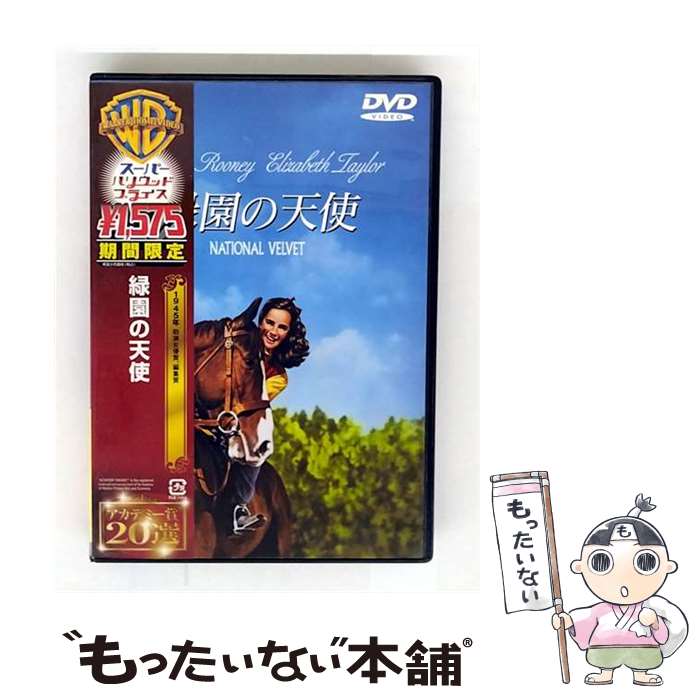 š бŷ/DVD/HHP-50480 / ʡۡࡦӥǥ [DVD]ڥ᡼̵ۡںûãб