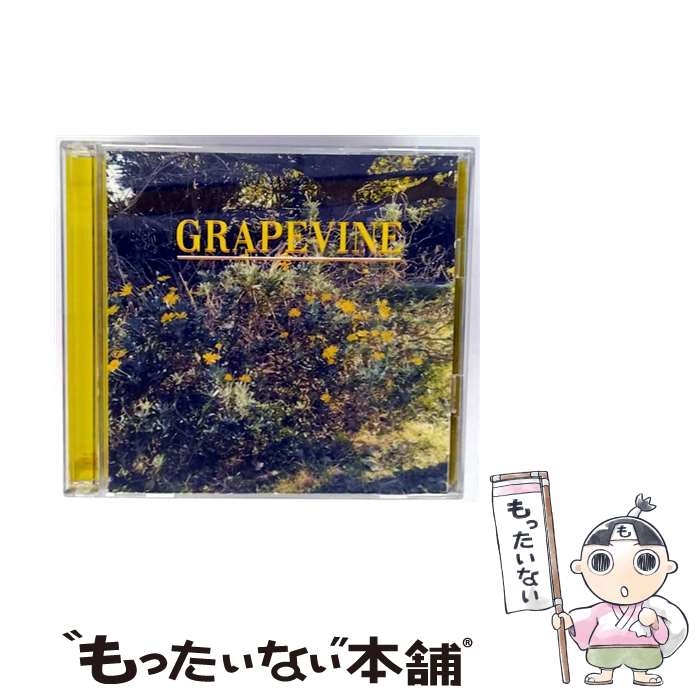 楽天市場】grapevine 愚かな者の語ること（CD・DVD）の通販
