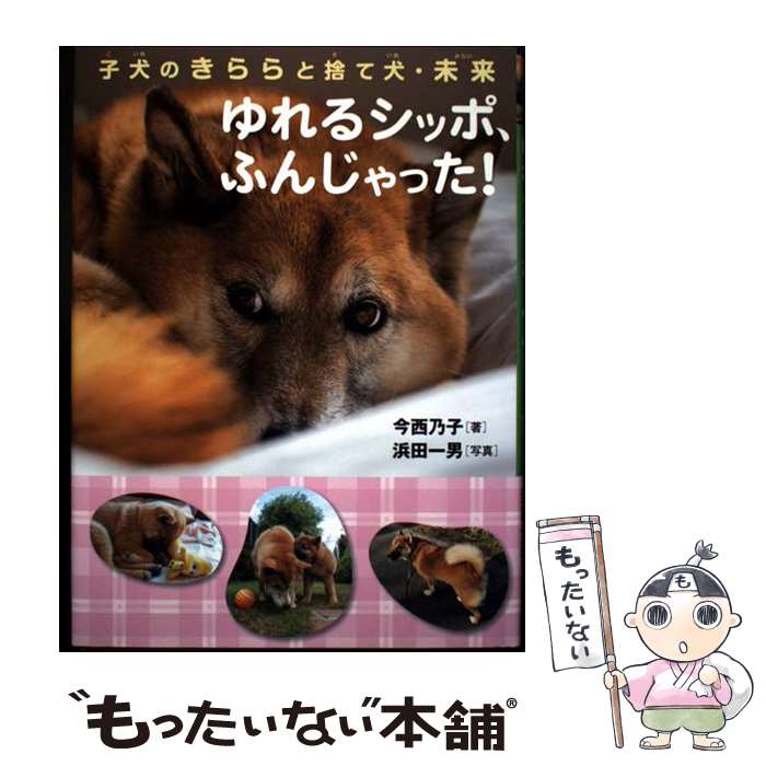 【中古】 子犬のきららと捨て犬・未来　ゆれるシッポ、ふんじゃった！ / 今西 乃子, 浜田 一男 / 岩崎書店 [単行本]【メール便送料無料】【最短翌日配達対応】
