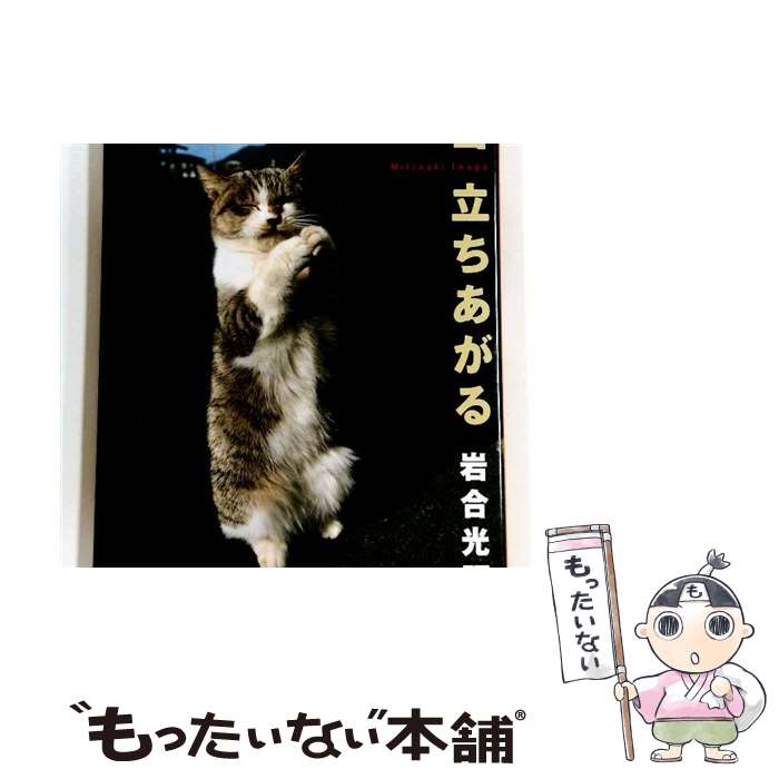 ����š� �ͥ�Ω�������� / ��� ���� / ���ܽ��Ǽ� [�緿��]�ڥ᡼��������̵���ۡں�û������ã�б���