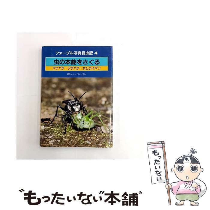 ����š� �����ǽ�򤵤��� / ����󡦥���� �ե����֥� / ����Ź [�緿��]�ڥ᡼��������̵���ۡں�û������ã�б���