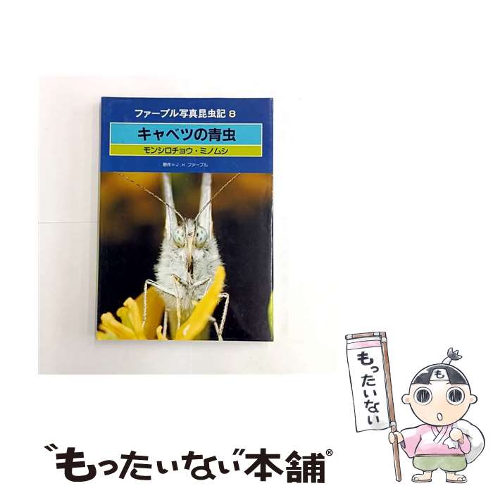 ����š� ����٥Ĥ����� / ����󡦥���� �ե����֥� / ����Ź [�緿��]�ڥ᡼��������̵���ۡں�û������ã�б���