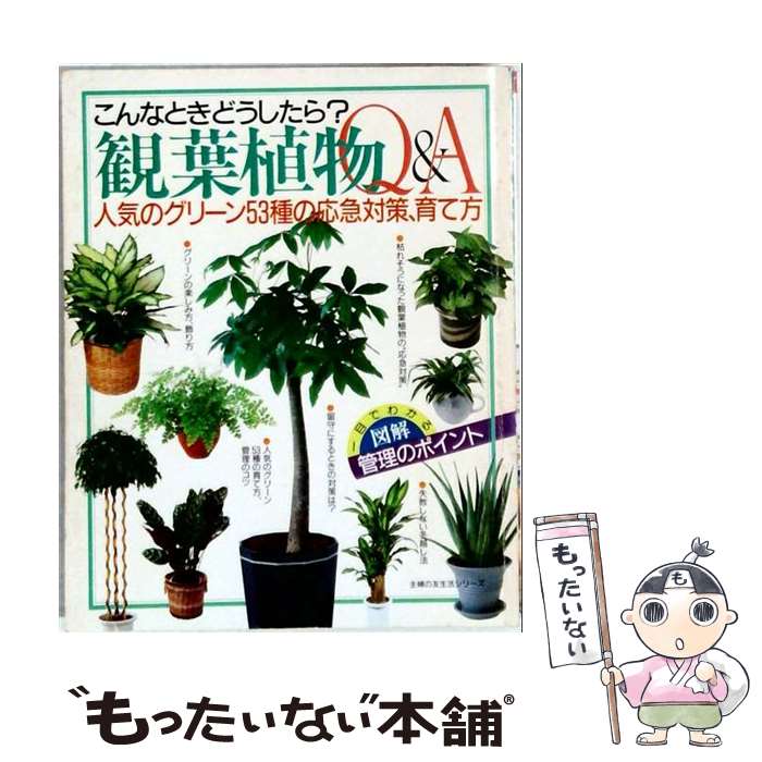 著者：主婦の友社出版社：主婦の友社サイズ：単行本ISBN-10：4079992513ISBN-13：9784079992510■こちらの商品もオススメです ● 最新図解観葉植物80育て方のコツ / 平城 好明 / 主婦の友社 [単行本] ● 観葉植物12カ月 / 高林成年 / 主婦の友社 [単行本] ● インテリアになる観葉植物の育て方と飾り方 / ブティック社 / ブティック社 [ムック] ● はじめて育てる！多肉植物サボテン / 野里 元哉, 長田 研, NHK出版 / NHK出版 [ムック] ● 最新観葉植物 / 小笠原 誓 / 小学館 [文庫] ■通常24時間以内に出荷可能です。※繁忙期やセール等、ご注文数が多い日につきましては　発送まで48時間かかる場合があります。あらかじめご了承ください。 ■メール便は、1冊から送料無料です。※宅配便の場合、2,500円以上送料無料です。※最短翌日配達ご希望の方は、宅配便をご選択下さい。※「代引き」ご希望の方は宅配便をご選択下さい。※配送番号付きのゆうパケットをご希望の場合は、追跡可能メール便（送料210円）をご選択ください。■ただいま、オリジナルカレンダーをプレゼントしております。■お急ぎの方は「もったいない本舗　お急ぎ便店」をご利用ください。最短翌日配送、手数料298円から■まとめ買いの方は「もったいない本舗　おまとめ店」がお買い得です。■中古品ではございますが、良好なコンディションです。決済は、クレジットカード、代引き等、各種決済方法がご利用可能です。■万が一品質に不備が有った場合は、返金対応。■クリーニング済み。■商品画像に「帯」が付いているものがありますが、中古品のため、実際の商品には付いていない場合がございます。■商品状態の表記につきまして・非常に良い：　　使用されてはいますが、　　非常にきれいな状態です。　　書き込みや線引きはありません。・良い：　　比較的綺麗な状態の商品です。　　ページやカバーに欠品はありません。　　文章を読むのに支障はありません。・可：　　文章が問題なく読める状態の商品です。　　マーカーやペンで書込があることがあります。　　商品の痛みがある場合があります。