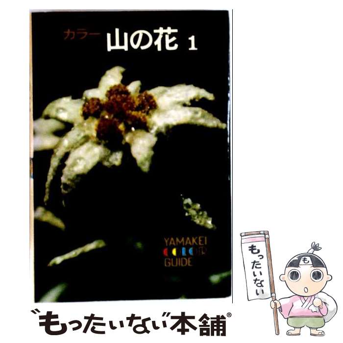 楽天市場】大場花菜の通販