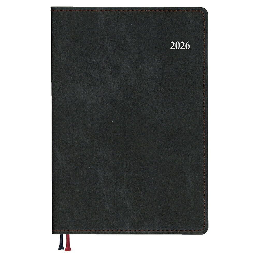 2026 アポイント 1W ブラック　E8439 ダイゴー