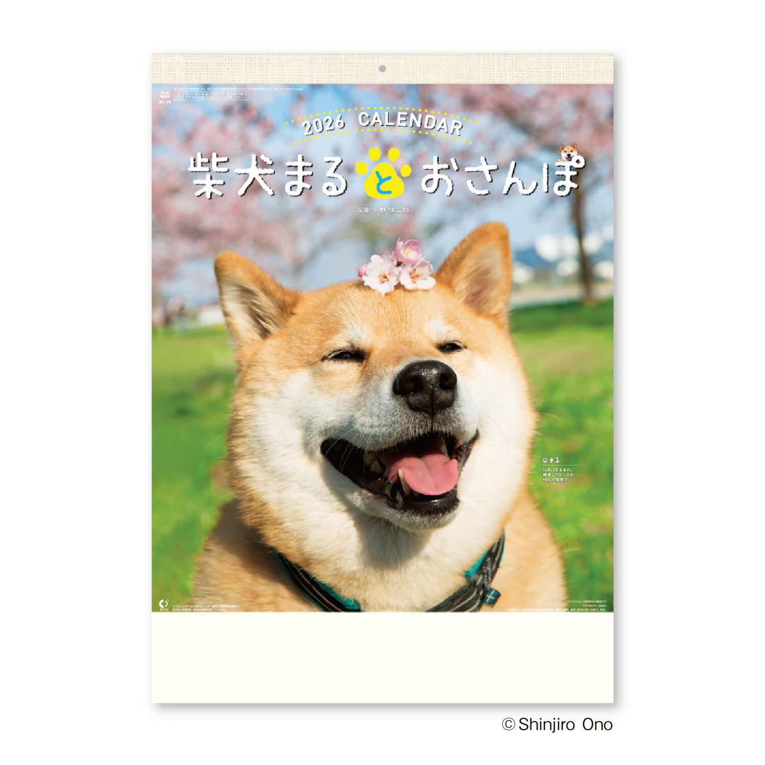 柴犬まるとおさんぽカレンダー NK35 新日本カレンダー