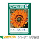 ジャポニカ学習帳 えにっき マス ショウワノート JL-45 絵日記 ノート 小学生 文房具 1年生 2年生 3年生