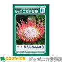 ジャポニカ学習帳 かんじれんしゅう 50字十字リーダー入り ショウワノート JL-48 漢字練習帳 ノート 小学生 文房具 1年生 2年生 3年生