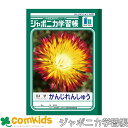 ジャポニカ学習帳 かんじれんしゅう 84字十字リーダー入り ショウワノート JL-49 漢字練習帳 ノート 小学生 文房具 1年生 2年生 3年生 4年生