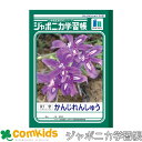 ジャポニカ学習帳 かんじれんしゅう 91字十字リーダー入り ショウワノート JL-49-1 漢字練習帳 ノート 小学生 文房具 1年生 2年生 3年生 4年生