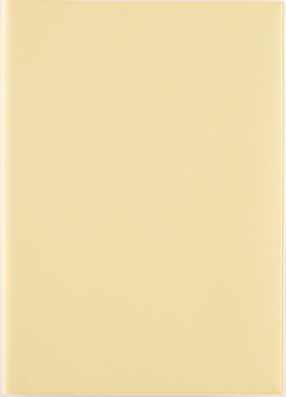 （542）torinco10（バターイエロー） 高橋書店