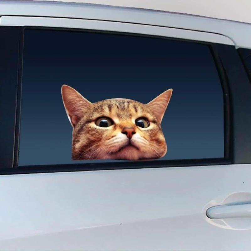 乐天商城 - かわいい猫の窓用ビニールデカール 13x9cm 2個セット 防水仕様 車・トラック・SUV・ノートPCガラス・壁用 屋内・屋外兼用 |#AZ142