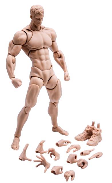 筋トレガチャ&可動式フィギュア 楽天市場】1／12 筋トレ ガチャの通販