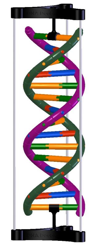乐天商城 - DNA 二重スパイラル球体モデル