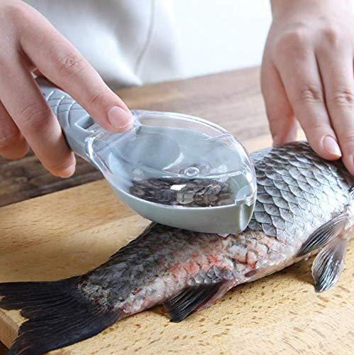 乐天商城 - うろこ取り ウロコ取り 鱗取り 鱗発散防止 ケース付き 飛び散らない 魚型 魚鱗クリーナー キッチンツール 調理器具 鯛・ウロコ・寿司・釣り用 商用 事務用 お店用 ホーム用