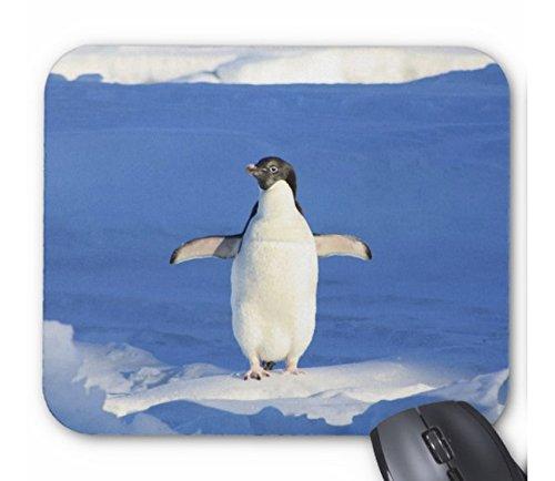 かわいいペンギンのマウスパッド：フォトパッド（ 世界の野生動物シリーズ ） (長方形：厚さ 3mm)この商品は、熱帯スタジオのオリジナル製品です。マウスパッドの大きさは、幅232mm、縦196mm、厚さ3mmです。角は丸みを付けてあります。光学式マウスにも対応しています。「 絵や写真がきれいな上に、マウスパッド自体もとてもスムースにマウスが走り、非常に使いやすい 」との評価を多くの方から頂いています。画像がプリントされる表面は布製で、その下にクッション性があリ滑りにくい合成のウレタンフォームが貼付けてある構造となっています。他のフォトパッドを探す場合は、ページ上部にある検索窓に「 フォトパッド 」と入力し、検索してください。
