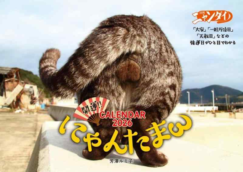 楽天市場】にゃんたまカレンダーの通販