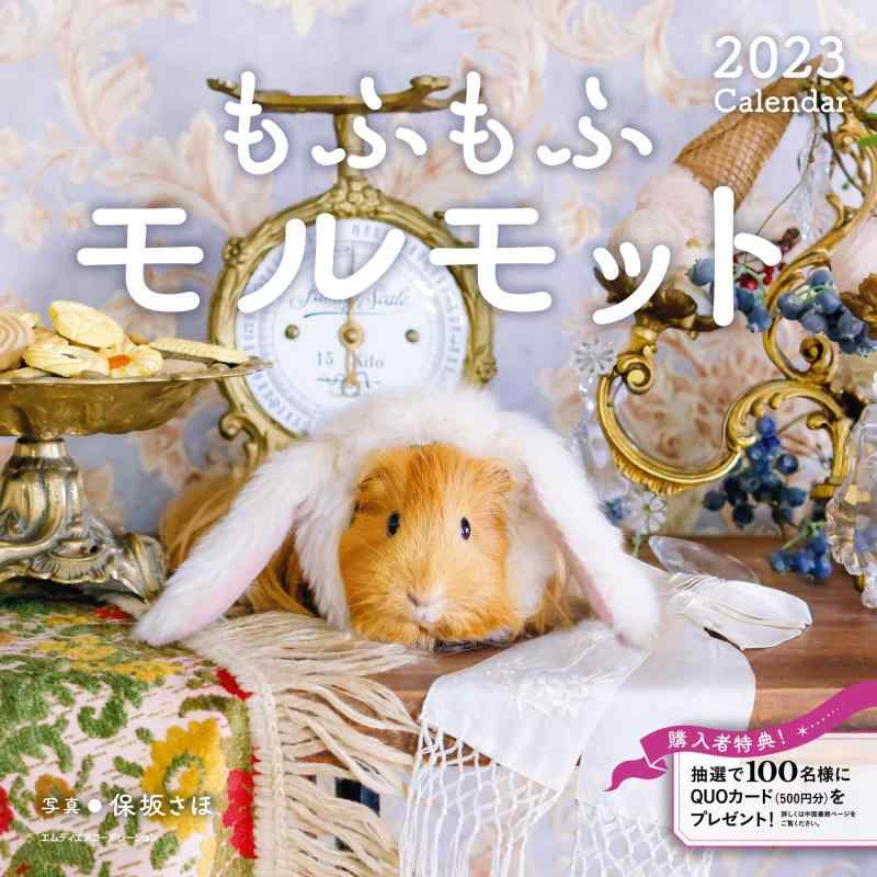2023 もふもふモルモットカレンダー ([カレンダー]) command-10047061 コマンド パッケージ画像