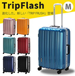 スーツケース Mサイズ 4〜7泊 中型 双輪キャスター ネット通販限定モデル TSAロック付き フレームタイプ シンプル 旅行 出張 ビジネス 男性 女性 1年保証付き siffler シフレ B1116T-58のサムネイル