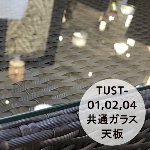 強化ガラス TUST-01/02/04用共通ガラス天板 強化ガラス TUST-01/02/04用共通ガラス天板