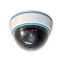 ドーム型ダミーカメラ 天井取付タイプ LED点滅 DS−1500B(3)