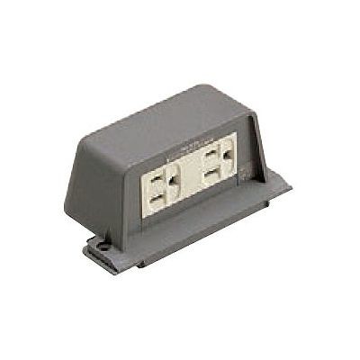 パナソニック F型フロアコンセント 接地2Pダブルコンセント 15A 125V NE23130