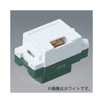 パナソニック アースターミナル フラット形 ベージュ WN3075F