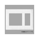パナソニック コンセントプレート 3連用 2連接穴+3コ用 スクエア ベージュ WTF8503F