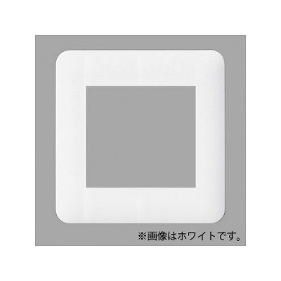 パナソニック 簡易耐火用コンセントプレート 2連接穴用 ラウンド ベージュ WTF7570F