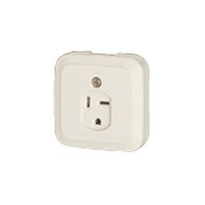 パナソニック 小型接地2P角型コンセント 30A 250V ホワイト WK3730W