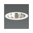 LEDダウンライト 取付穴φ125mm FHT42W相当 電球色相当 DD3207L