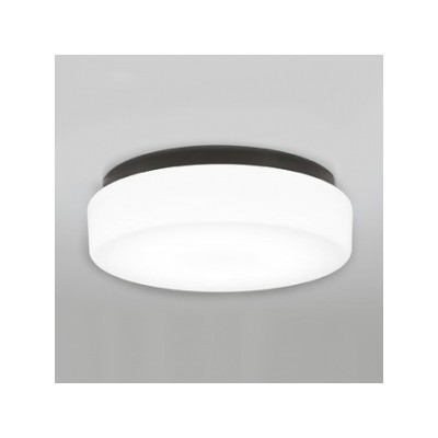 LEDバスルームライト OW269012ND