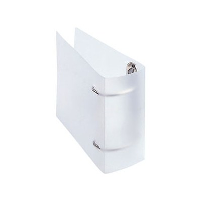 リングファイルケース　2穴付きタイプ　36枚収納　クリア　2個セット　FCD−RG36CLN