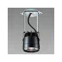 LEDダウンライト 白色 CDM−T35W相当 配光角30度 電源別売 ユニバーサルタイプ LZY−91989NBE
