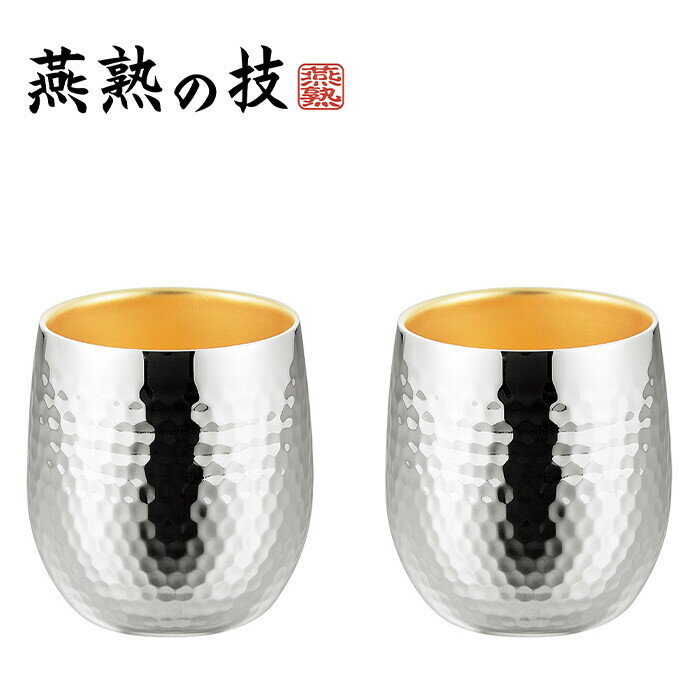 燕熟の技 ステンレス二重ロックカップ250ml 2P 内金メッキ タンブラー 焼酎カップ ビール ビヤカップ 酒器 おしゃれ プレゼント ギフト