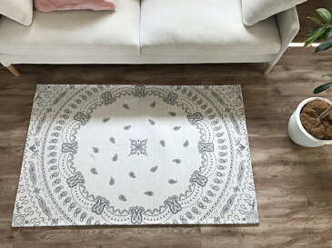 玄関マット 50×80cm ラグ カーペット マット ラグマット ゴブラン 手洗いOK 洗える バスマット キッチンマット オールシーズン 北欧 おしゃれ かわいい ペイズリー風 トライバル風