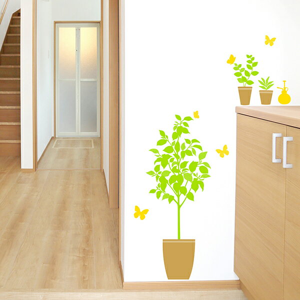 大判 1m フチなし 転写ウォールステッカー「霧吹きと植物 グリーン」おしゃれ インテリア 植物 蝶々 壁..