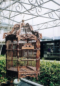 鳥かご22 おしゃれで大きめサイズ 人気の飼育用バードケージのおすすめランキング わたしと 暮らし 鳥かご22 おしゃれで大きめサイズ 人気の飼育用バードケージのおすすめランキング わたしと 暮らし