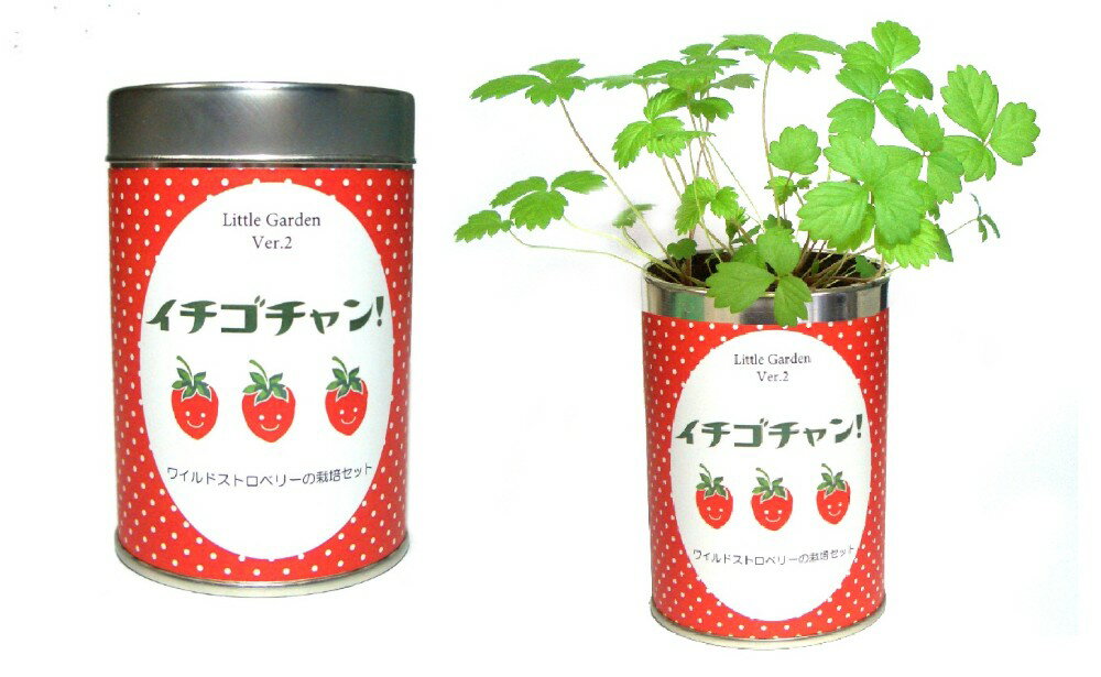 栽培セット リトルガーデン 園芸 ガーデニング インテリア ギフト 室内 かわいい 栽培キット トマト ヒ..