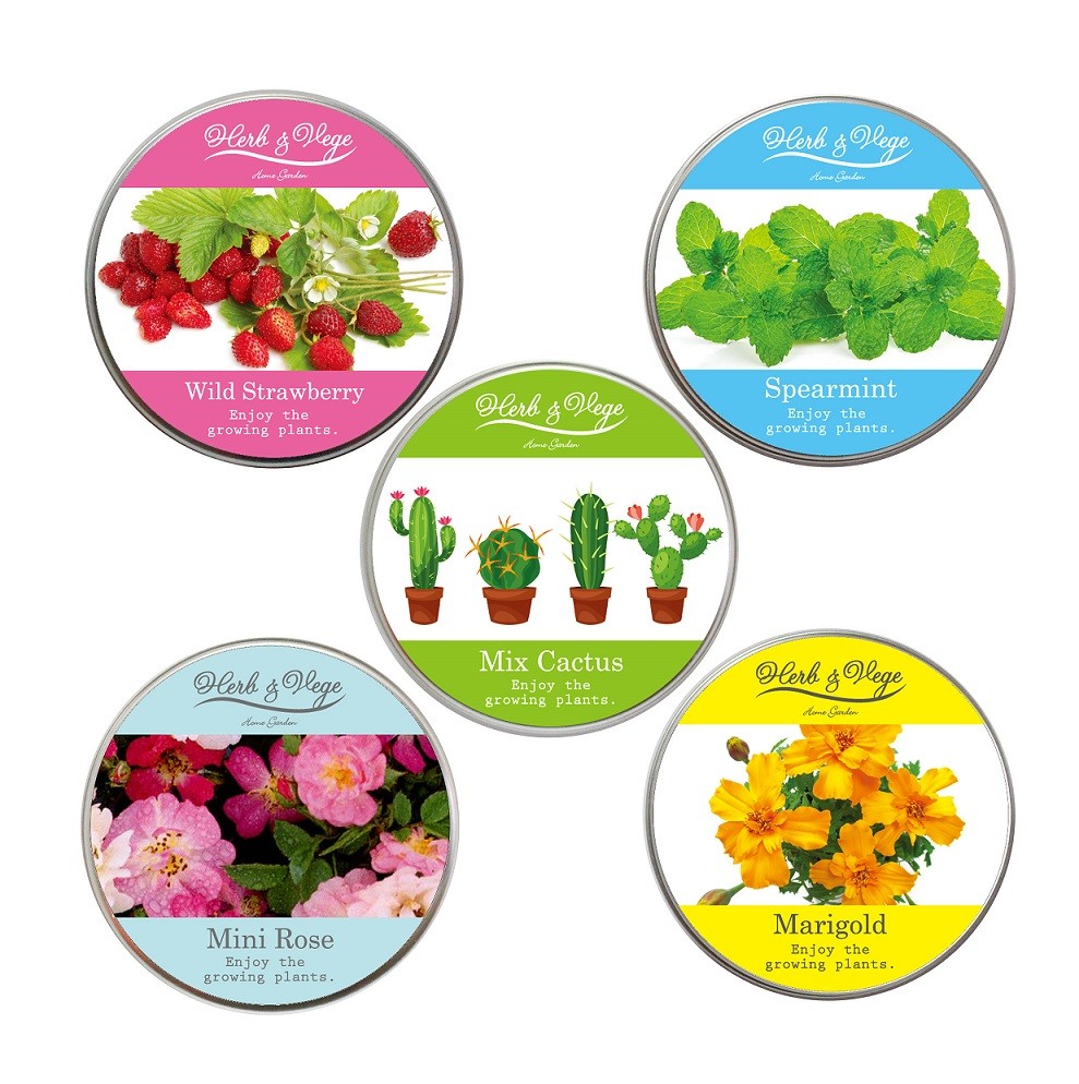 ハーブ&ベジ ミニ 園芸 ガーデニング インテリア ギフト 室内 かわいい ワイルドストロベリー サボテ..