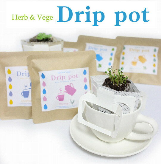 ハーブ&ベジ ドリップポット 園芸 ガーデニング インテリア ギフト 室内 かわいい スイートバジル イ..