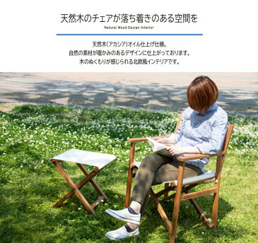 完成品 パティオディレクターチェア 折りたたみチェアー 木製 フォールディング ガーデンチェア おりたたみ いす イス 椅子 BBQ 運動会 アウトドア キャンプ ガーデン カフェ オープンテラス バルコニー テラス 庭 ベランダ シンプル ブルー