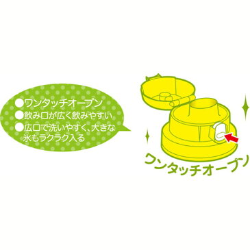 きかんしゃトーマス 直飲み水筒 【× 5個】