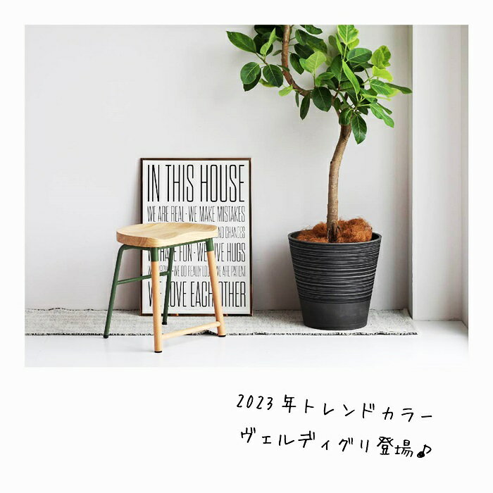 スツール おしゃれ 北欧 カントリー 楕円形 腰掛け ホワイト グリーン 天然木 コンパクト 省スペース いす イス チェア 木製 スチール かわいい ナチュラルテイスト 玄関チェア リビング コンパクト 丸椅子 カフェ風 送料無料 [2]