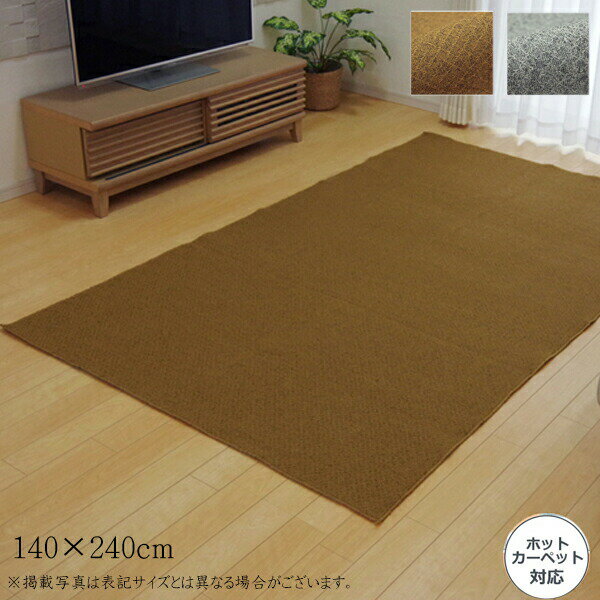 送料無料 カーペット おしゃれ ラグマット ラグ 洗える 無地 アロンジュ 2畳 長方形 約140×240cm 滑り止め フロアマット ホットカーペットカバー 床暖房対応 床暖対応 オールシーズン 高級感 絨毯 じゅうたん 一人暮らし 子供部屋 北欧 シンプル ロングサイズ