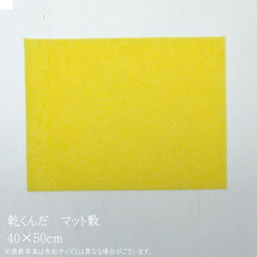 バスマットに下に敷くだけ バスマットが 乾くんだ 約40×50cm フリーカット 日本製 送料無料 バスマットに下に敷くだけ バスマットが 乾くんだ 約40×50cm フリーカット 日本製 送料無料