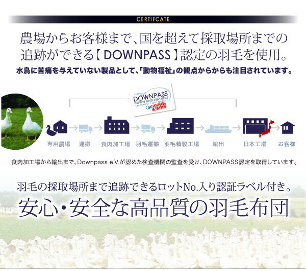 送料無料 羽毛掛け敷き布団10点セット クイーンサイズ ベッドタイプ 【DOWNPASS認証 フランス産ホワイトダックダウンエクセルゴールドラベル 羽毛布団セットベッドタイプ】 ダウンパス 洋室用 ふとんカバー3点付き 040202423