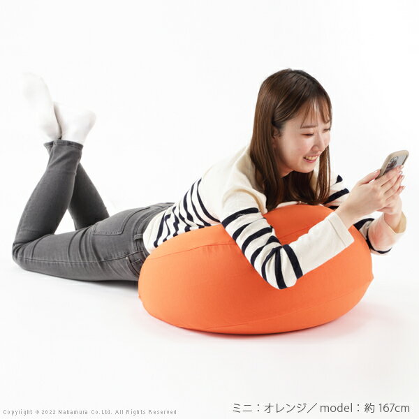 クッション 一人掛け ビーズ ビーズクッション-ピグロミニ(直径55cm) ビーズソファー 一人掛け まるい カラフル シンプル かわいい こたつ 座椅子 フィット感 洗える 日本製 一人暮らし テレワーク リモート 在宅 送料無料 [2]