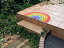 إޥå K038M Round Rainbow 5085cm  襤  ߤ    եޥå ȥ󥹥ޥå 饰ޥå ӥ  ɥޥå 륷