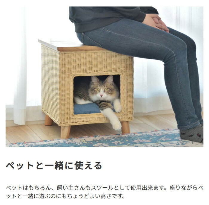 ペットハウス スツール 2way仕様 タン素材 天然パイン天板 ナチュラル ペット 収納スツール キャットハウス&スツール ミニテーブル 完成品 キャット ハウス 猫 小屋 室内 ペット用品 送料無料